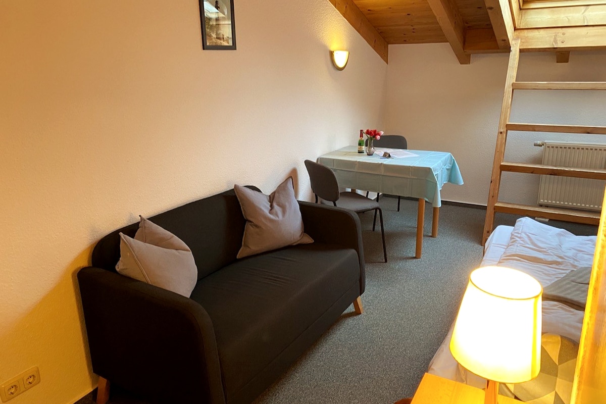 Всекидневна/спалня