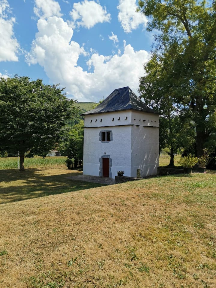 Image 1