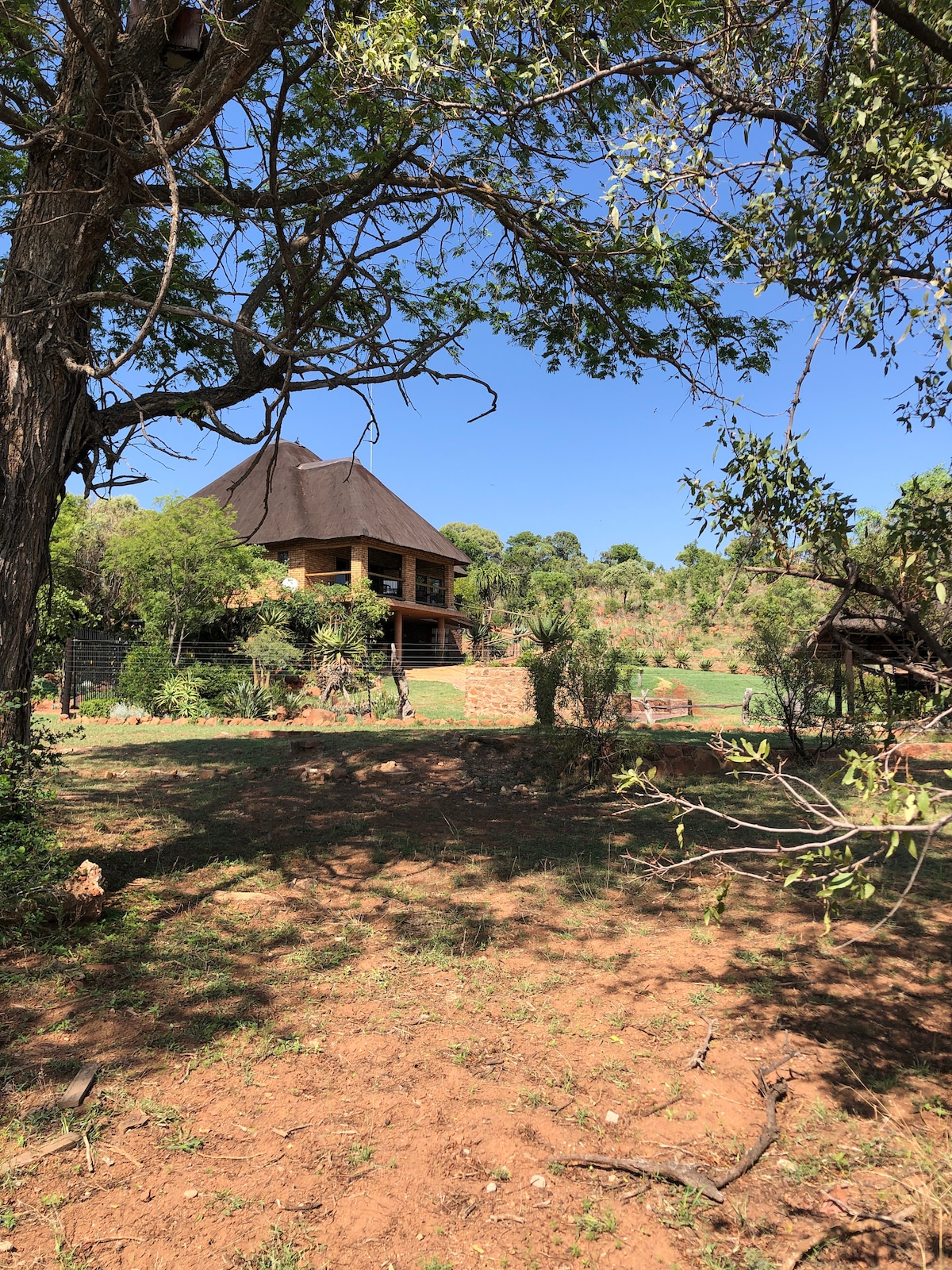 A charming lodge is nestled among trees, showcasing a thatched roof and stone exterior. Lush greenery surrounds the property, offering a sense of serenity. The landscape features gentle hills in the background, enhancing the natural setting.