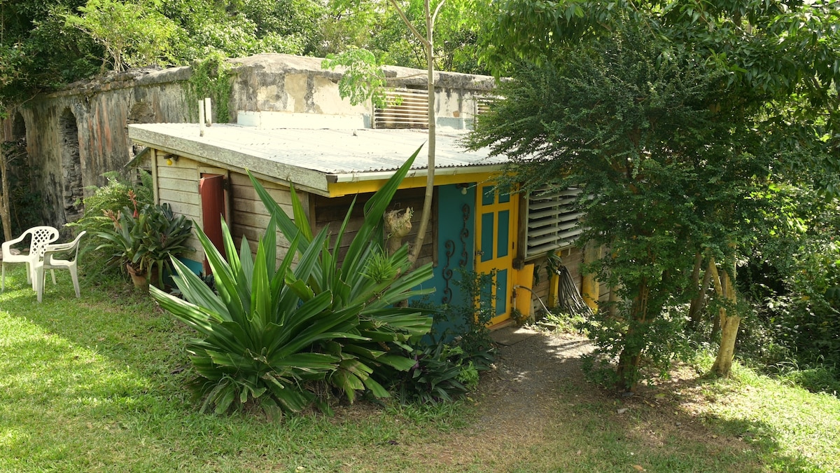 The exterior of the apartment is surrounded by lush greenery and tropical plants, featuring a galvanized roof and vibrant yellow door. A path leads to a private entrance, with outdoor seating indicated by a white chair set off to the side.