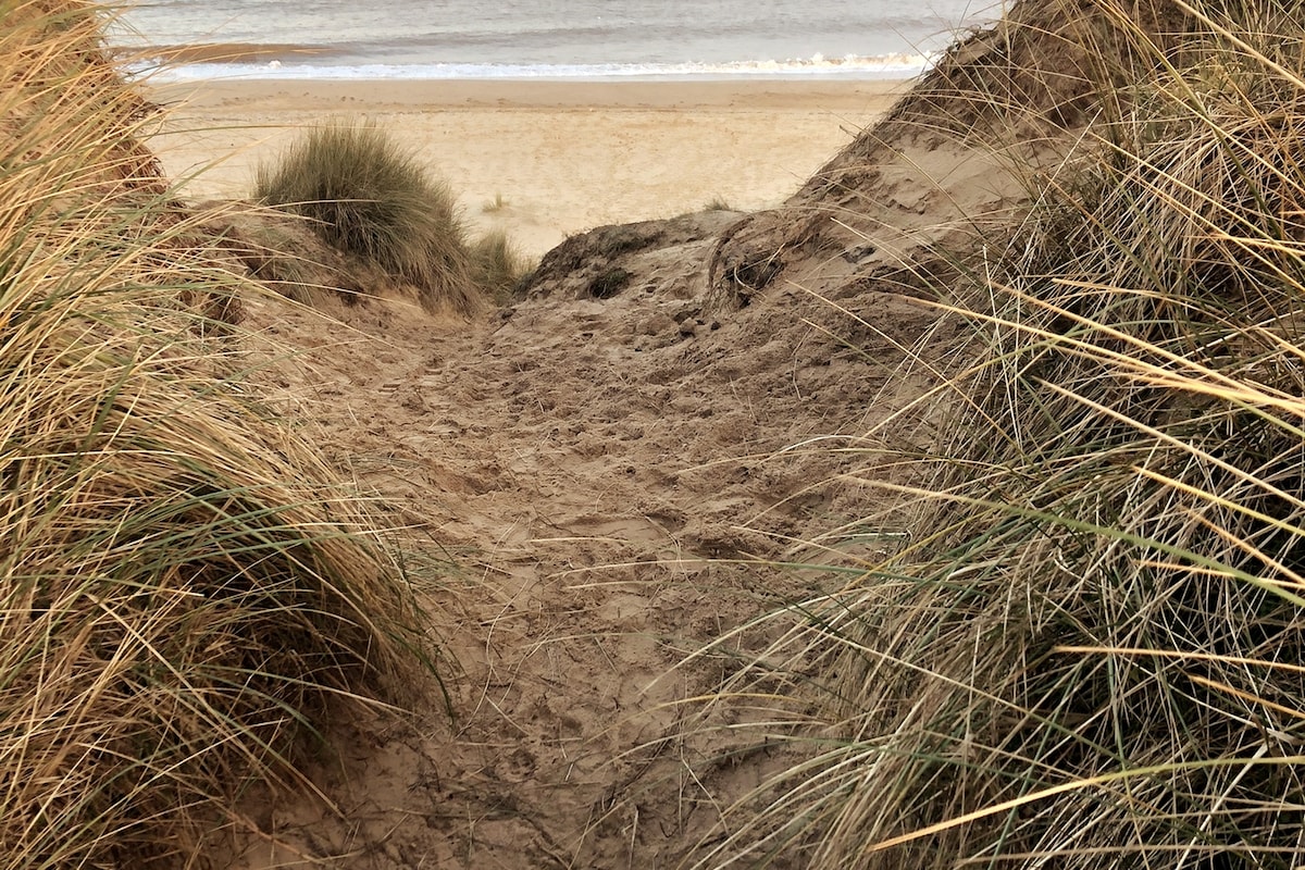 A sandy pathway bordered by tall, dry grasses leads down from the dunes to a beach, with the gentle waves of the sea visible in the background. The landscape showcases a tranquil and natural setting, inviting visitors to explore the sandy shore.