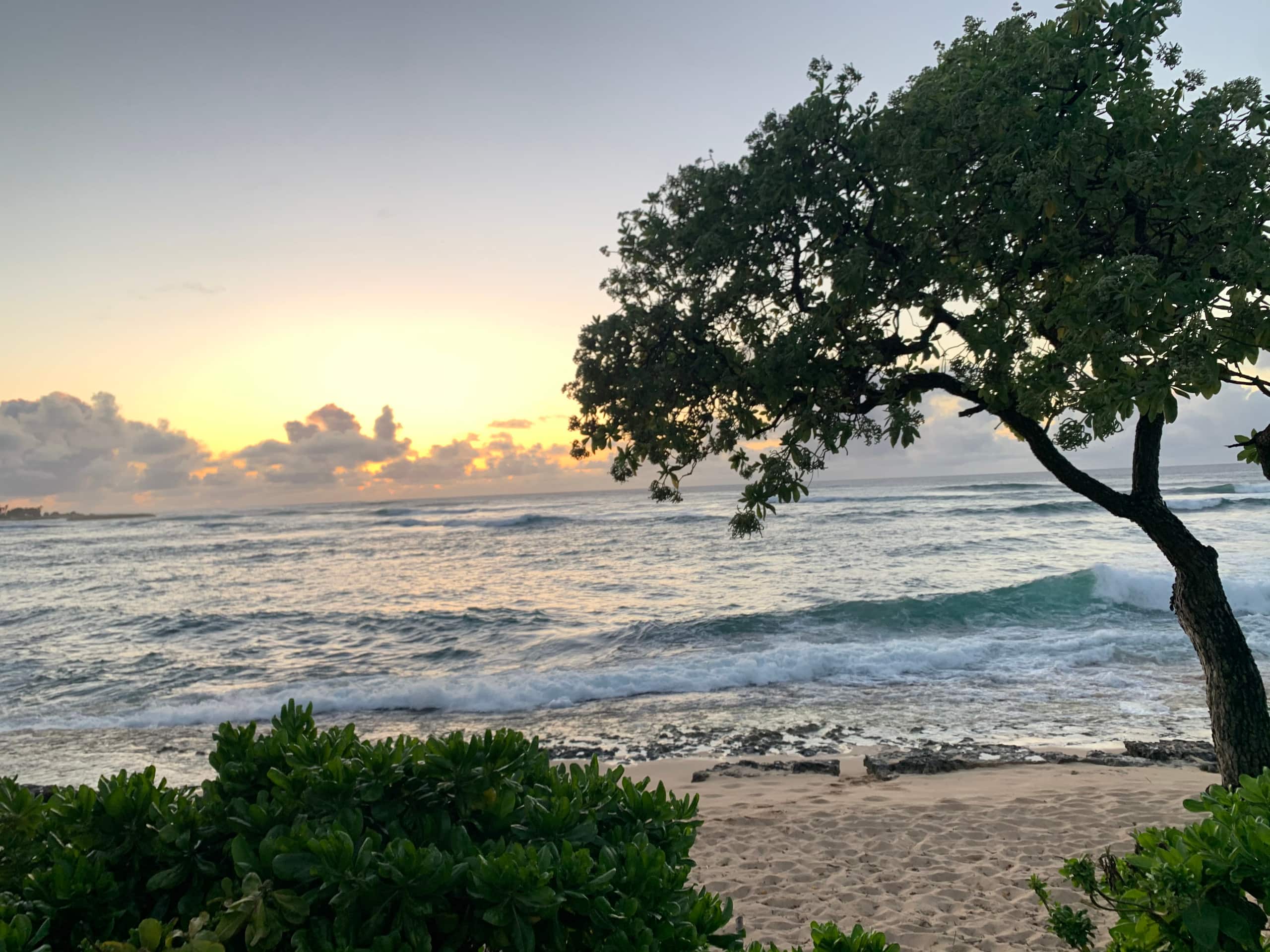 Townhouse in Kahuku · ★4.92 · 1 bedroom · 3 beds · 1 private bath - Image 3