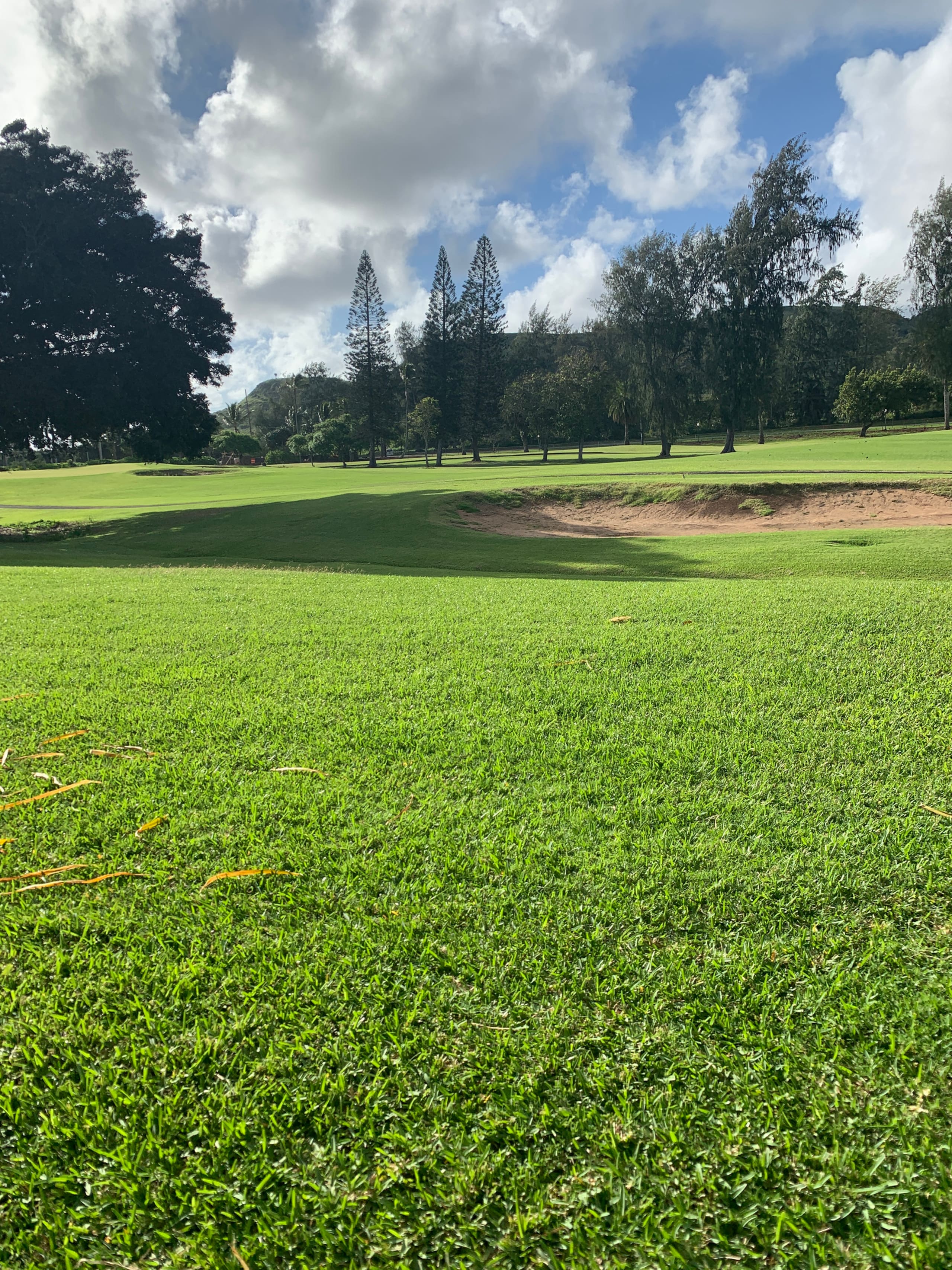 Townhouse in Kahuku · ★4.92 · 1 bedroom · 3 beds · 1 private bath - Image 4