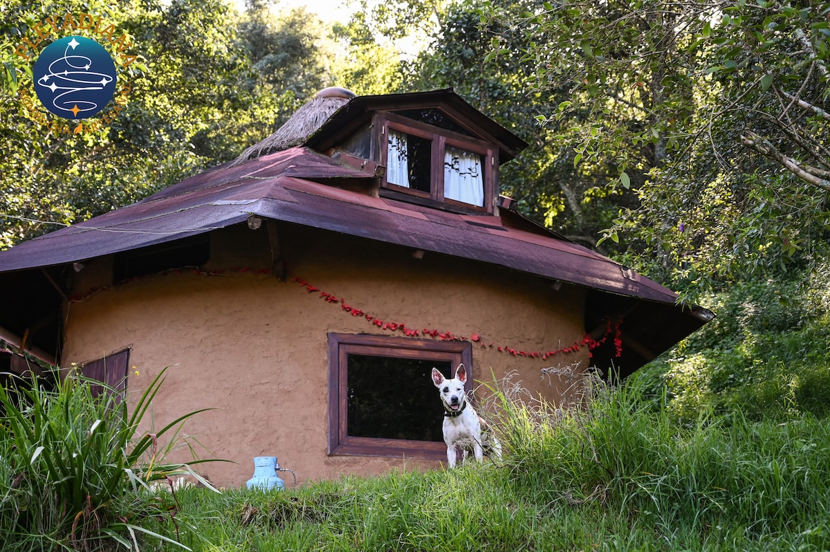 A rustic cabin is surrounded by lush greenery, featuring a thatched roof and large windows. A small dog stands in the foreground, positioned on a grassy area. The natural setting offers an inviting connection to the outdoors.
