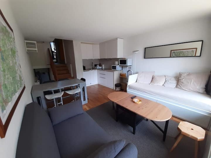 Appartement Pied Des Pistes Col Merdassier 4/6pers - Manigod