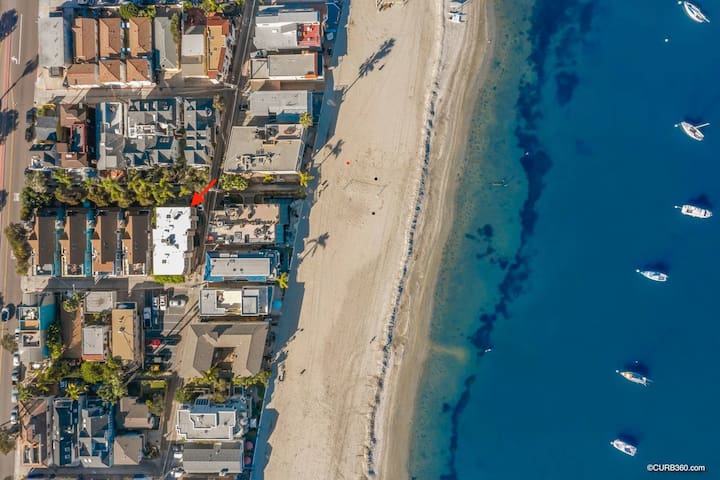 Seas the Day on the Bay