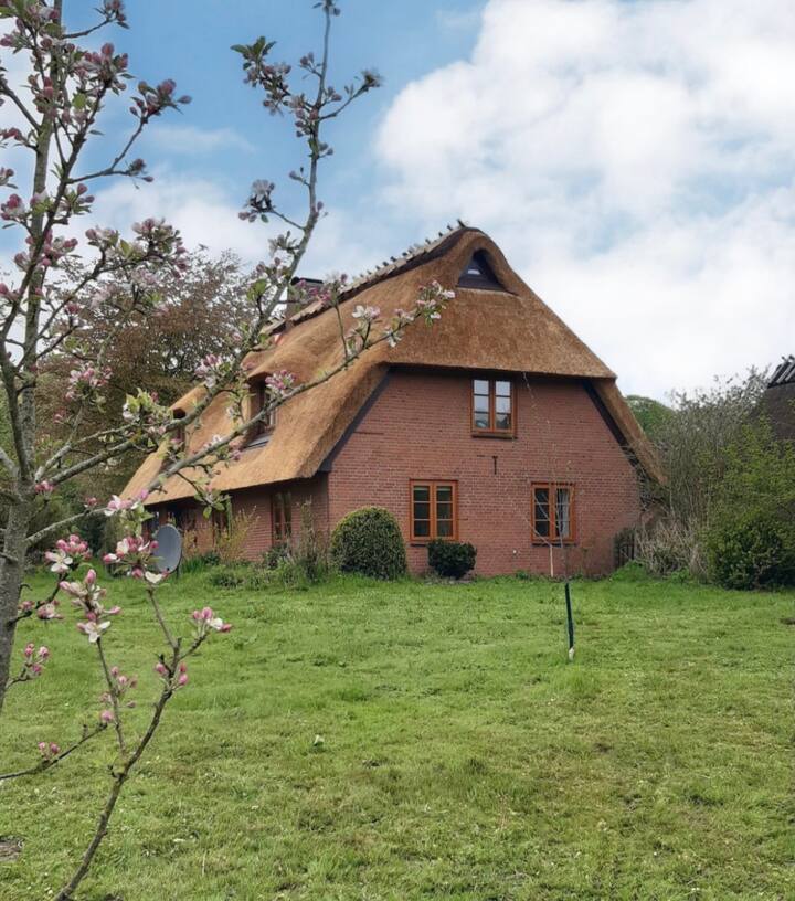 Ringsberg Vacation Rentals & Homes SchleswigHolstein, Germany Airbnb