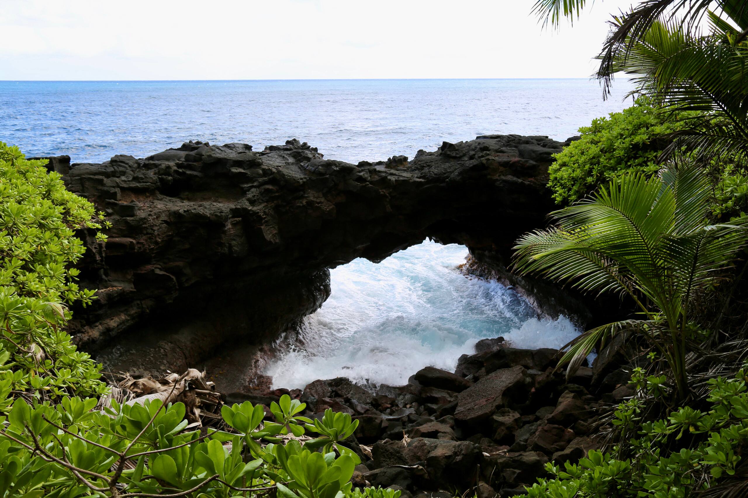 Villa in Pahoa · ★4.95 · 2 bedrooms · 4 beds · 2 baths - Image 111
