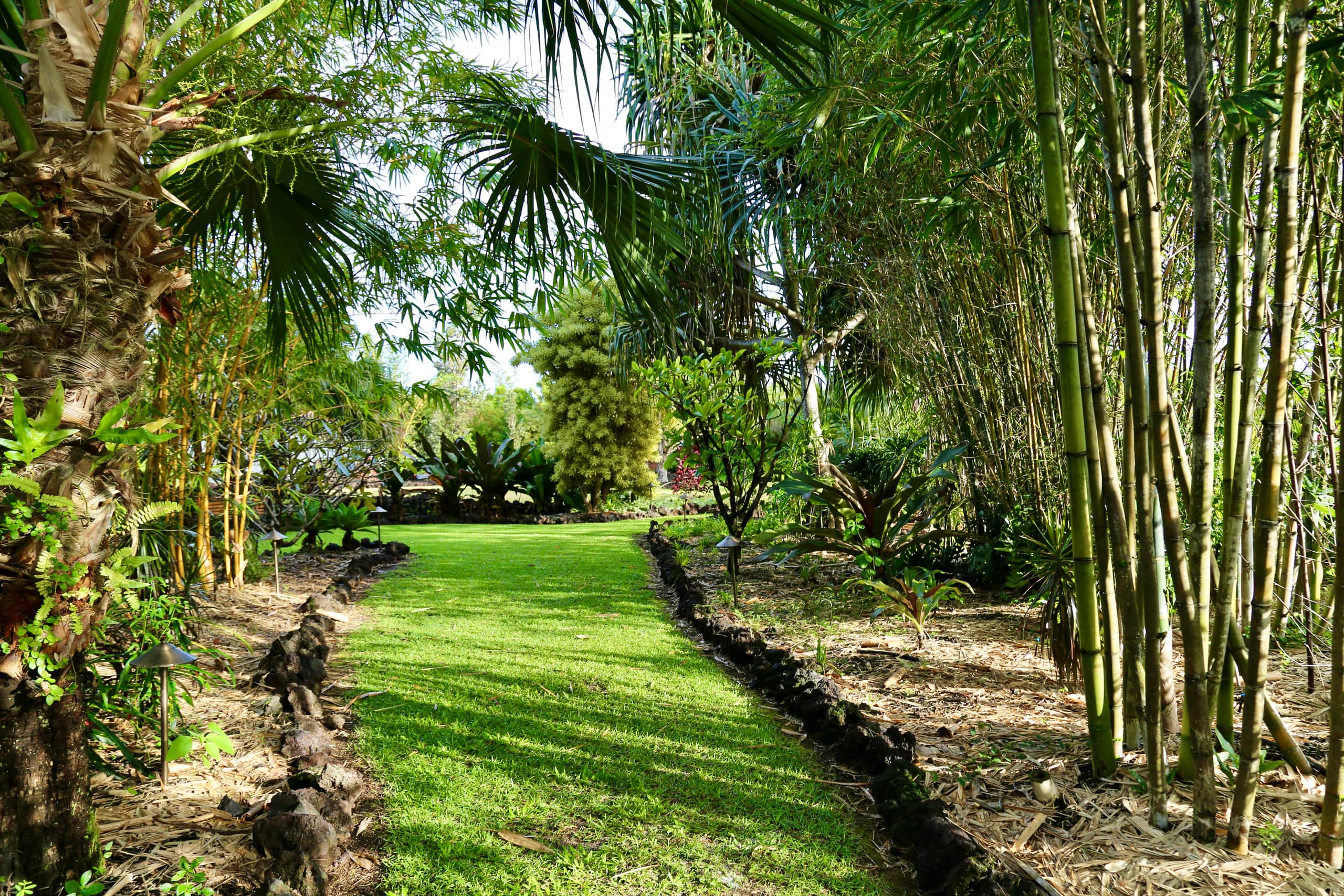Villa in Pahoa · ★4.95 · 2 bedrooms · 4 beds · 2 baths - Image 93