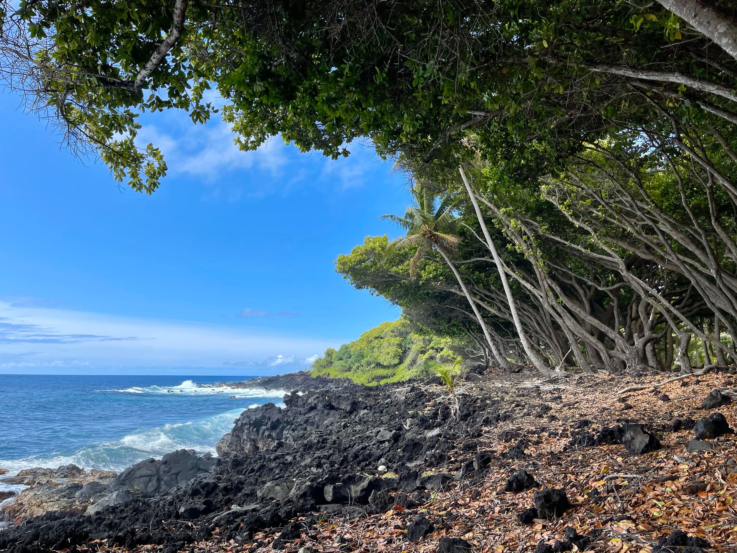 Villa in Pahoa · ★4.95 · 2 bedrooms · 4 beds · 2 baths - Image 105