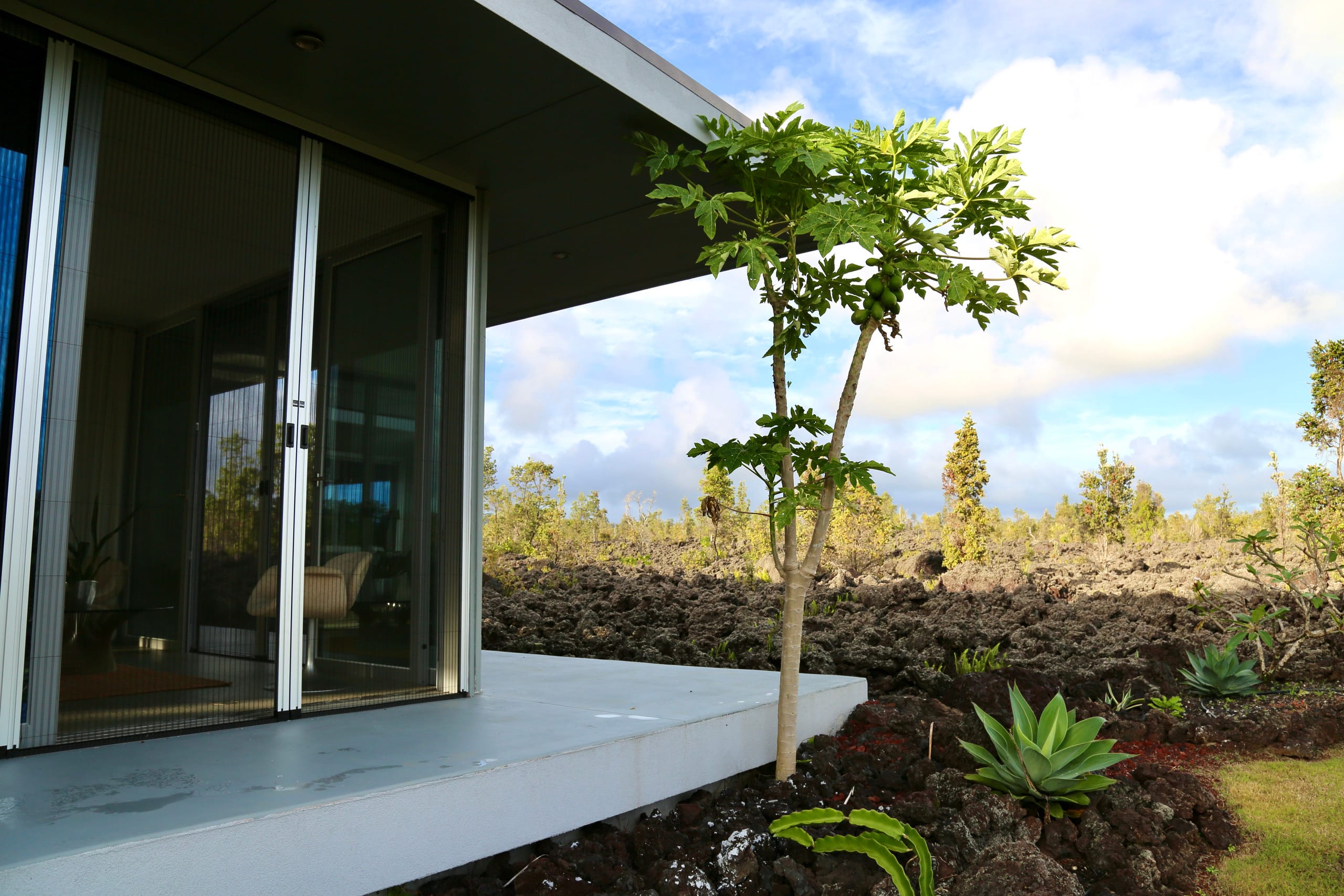 Villa in Pahoa · ★4.95 · 2 bedrooms · 4 beds · 2 baths - Image 24