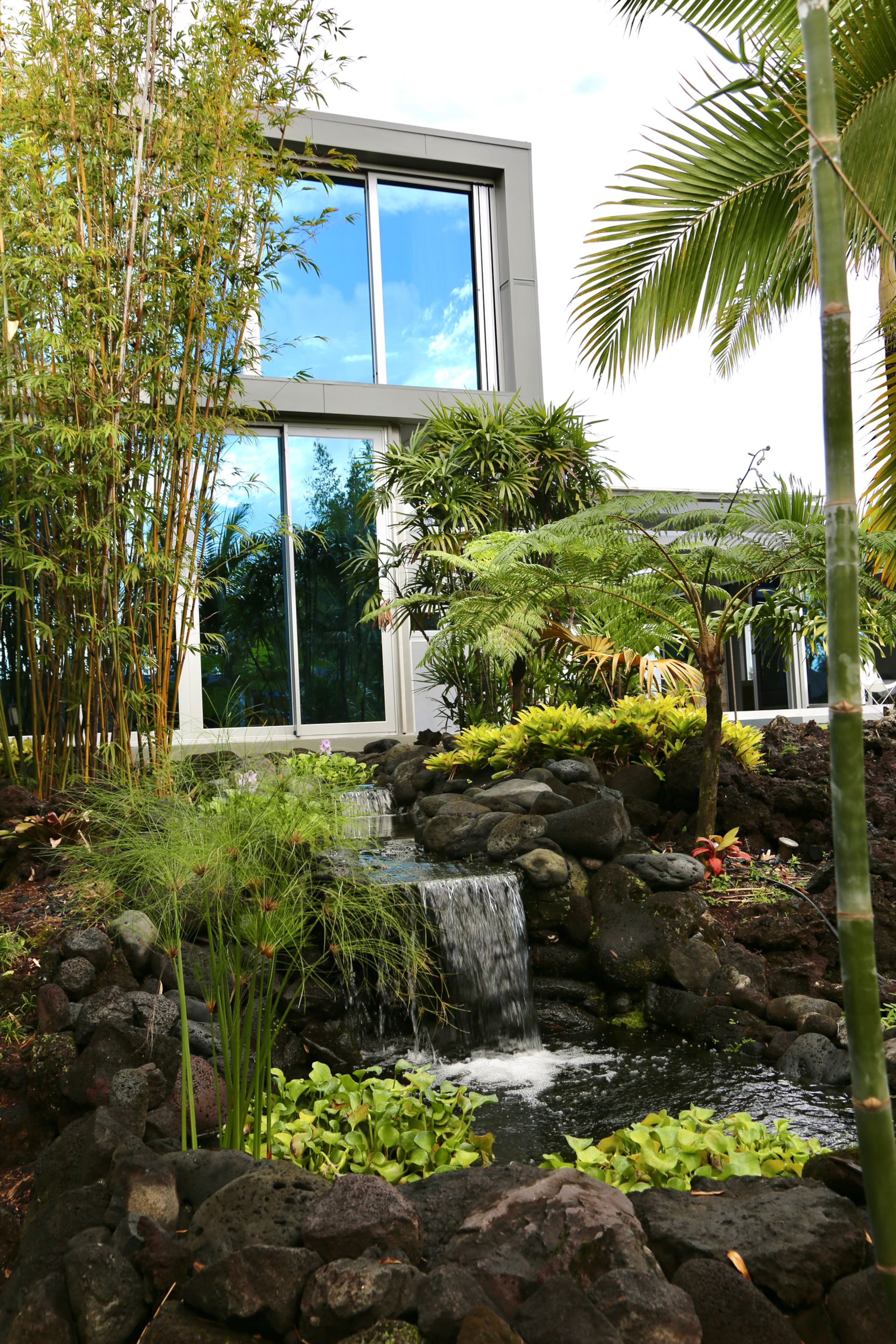 Villa in Pahoa · ★4.95 · 2 bedrooms · 4 beds · 2 baths - Image 90