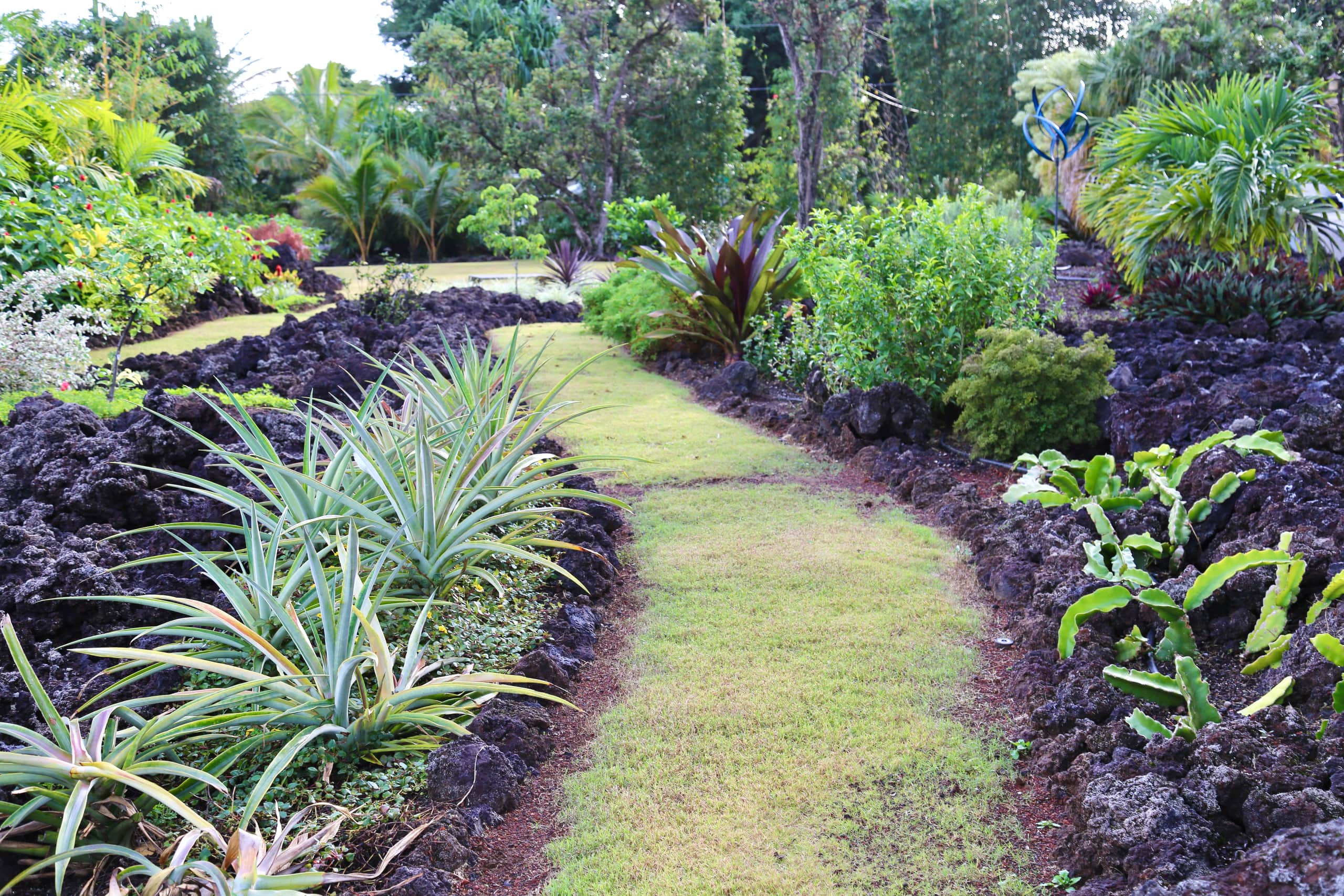Villa in Pahoa · ★4.95 · 2 bedrooms · 4 beds · 2 baths - Image 97
