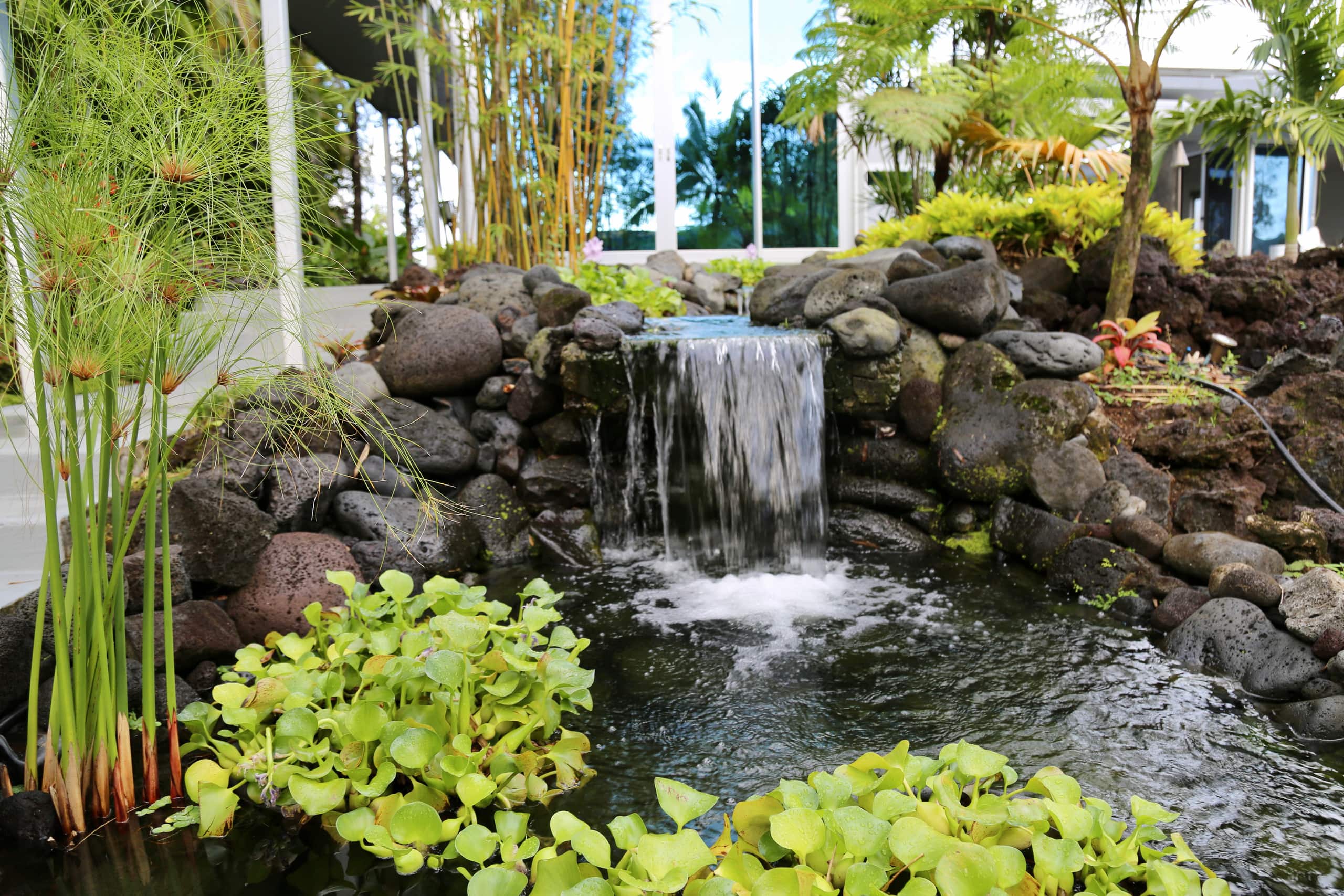 Villa in Pahoa · ★4.95 · 2 bedrooms · 4 beds · 2 baths - Image 91
