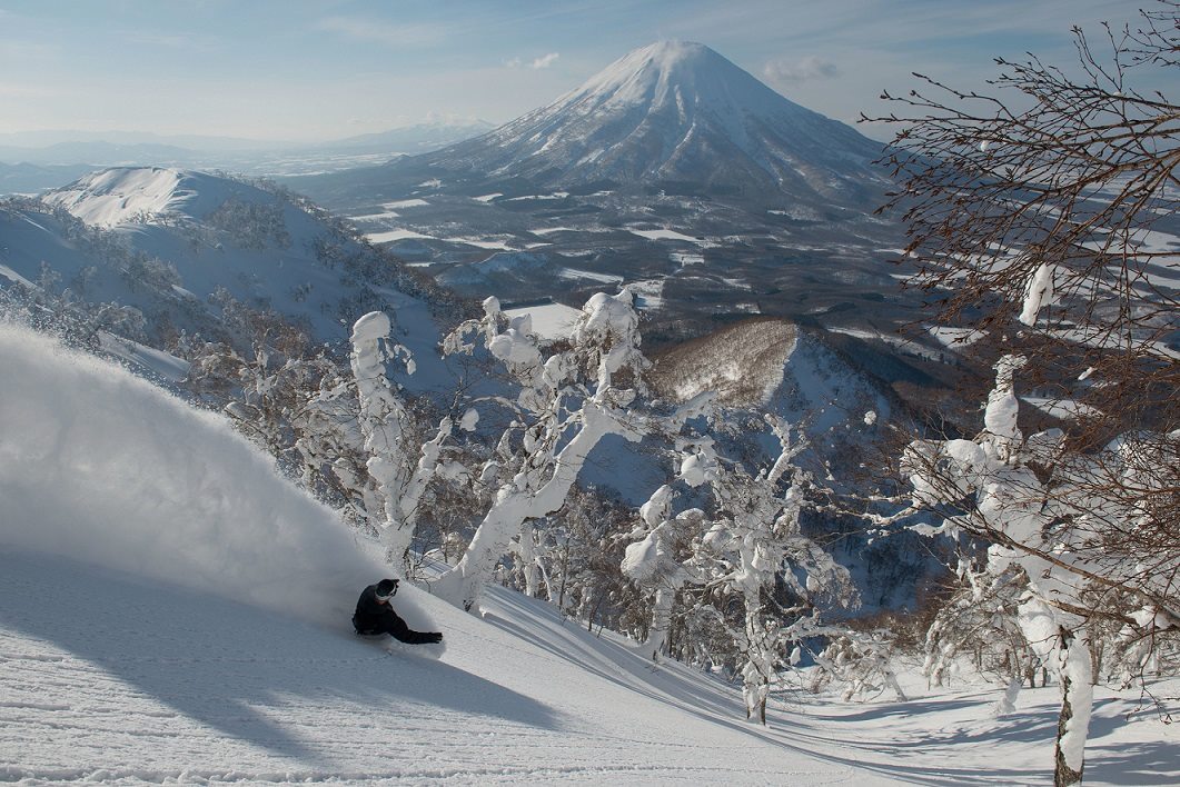 A skier carves through pristine snow, surrounded by frost-covered trees. In the background, a snow-capped mountain rises majestically against a clear sky, completing the serene winter landscape.