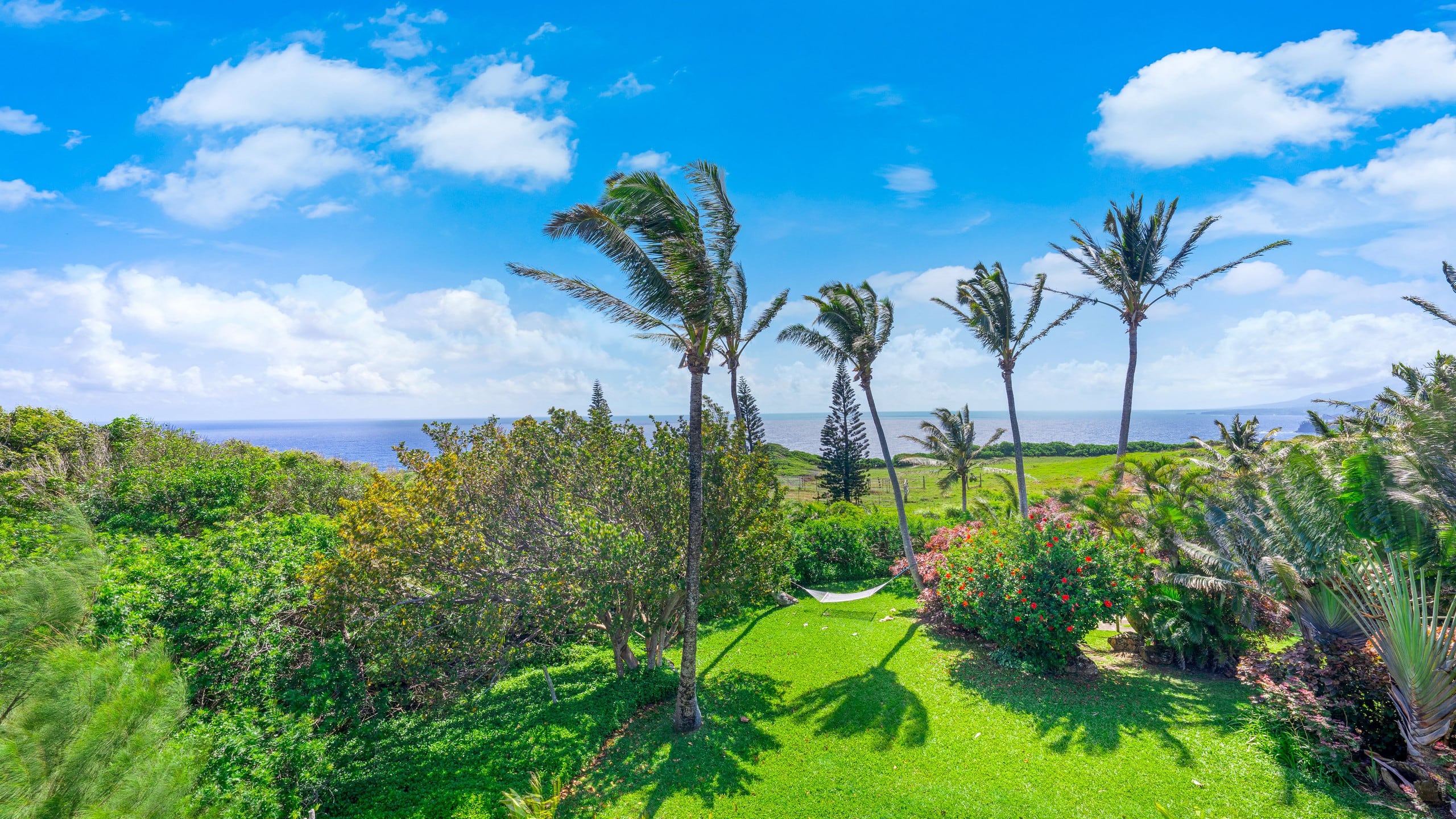Home in Haiku · ★4.98 · 2 bedrooms · 3 beds · 2 baths - Photo 61