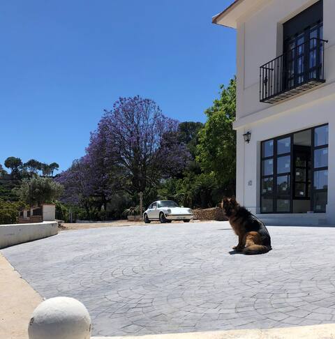 New house in an orchard in Valencia. Ed. Adj.
