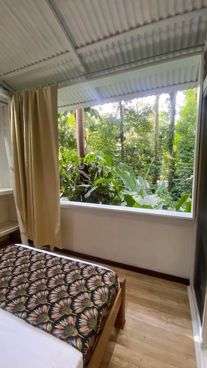 Casa Picasso en la selva de Colina Secreta Villas en alquiler en