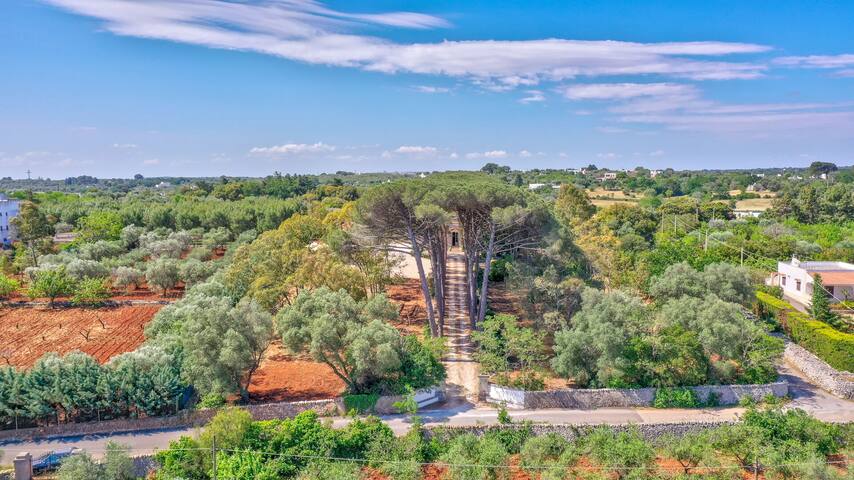 Masseria Pugliese Deluxe gallery image 2