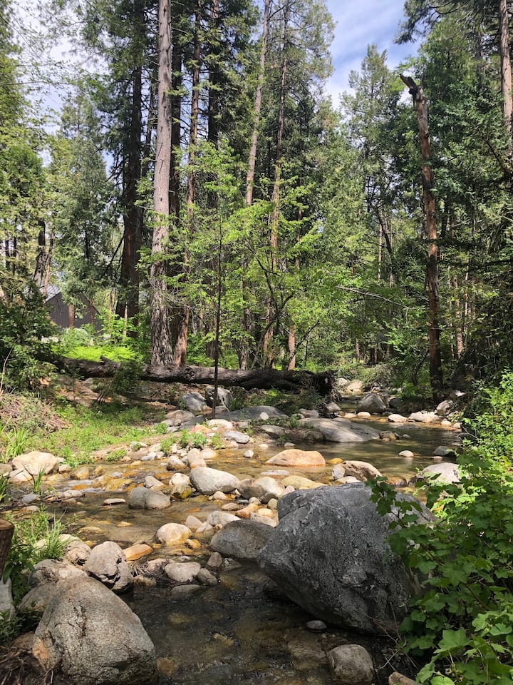Almost Heaven, Hot Tub, Walk to town! Cabins for Rent in Idyllwild