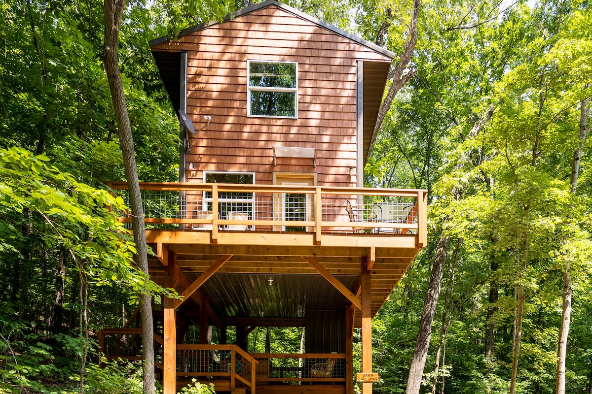 The cabin is raised above the ground, supported by a wooden structure. A spacious deck surrounds the home, providing access through glass doors. Large windows allow natural light to illuminate the interior. Lush greenery surrounds the area, enhancing the cabin's secluded setting.
