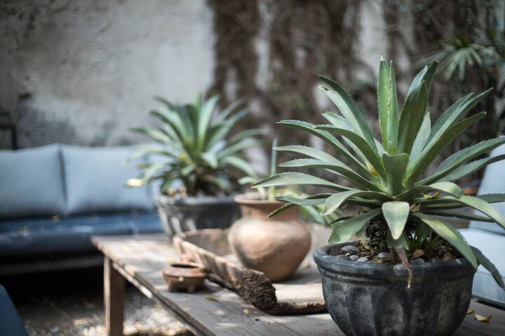 “La Roma House” Hip, Trendy and Unique gallery image 3