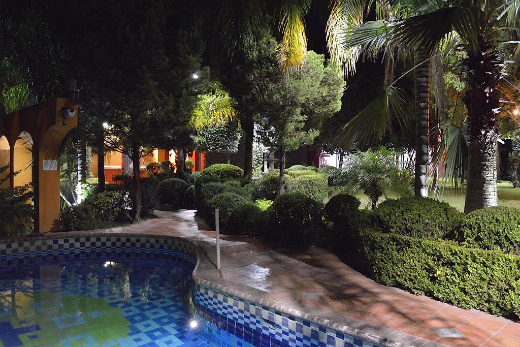 The serene outdoor area is illuminated at night, featuring a swimming pool with a mosaic pattern. Lush greenery and well-maintained bushes surround the space, with palm trees and soft lighting enhancing the tranquil atmosphere. A glimpse of a building is visible in the background.