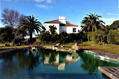 Quinta do Bom Despacho - Eco Lodge in 17c Manorhouse