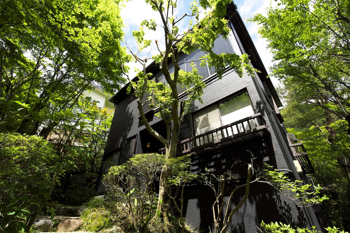 A modern black house is framed by lush green trees and plants, set against a clear blue sky. Large windows are visible, providing a glimpse of the interior. The natural landscape enhances the serene environment surrounding the property.