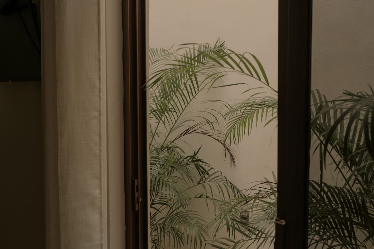 Narrativ Lofts Serena, Calle 59 Campeche — Casonas MX — photo 15