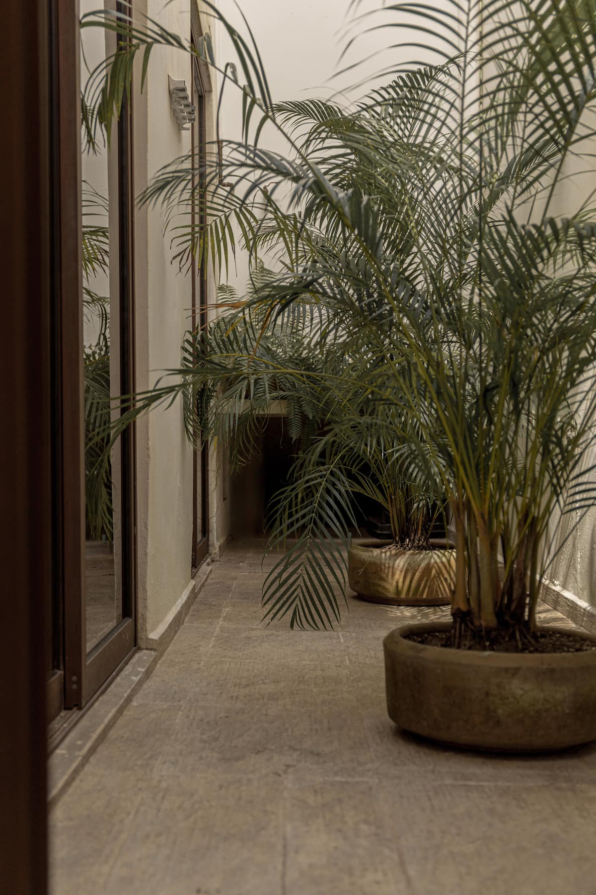 Narrativ Lofts Serena, Calle 59 Campeche — Casonas MX — photo 9