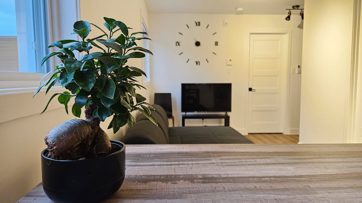 Appartement 6 — Au coeur du village