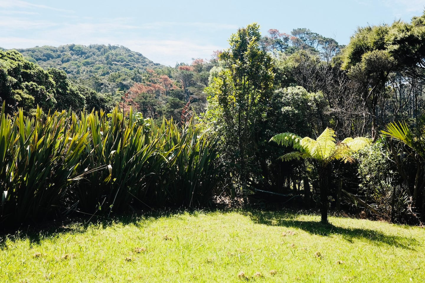 Tranquil Karekare Valley Home 3