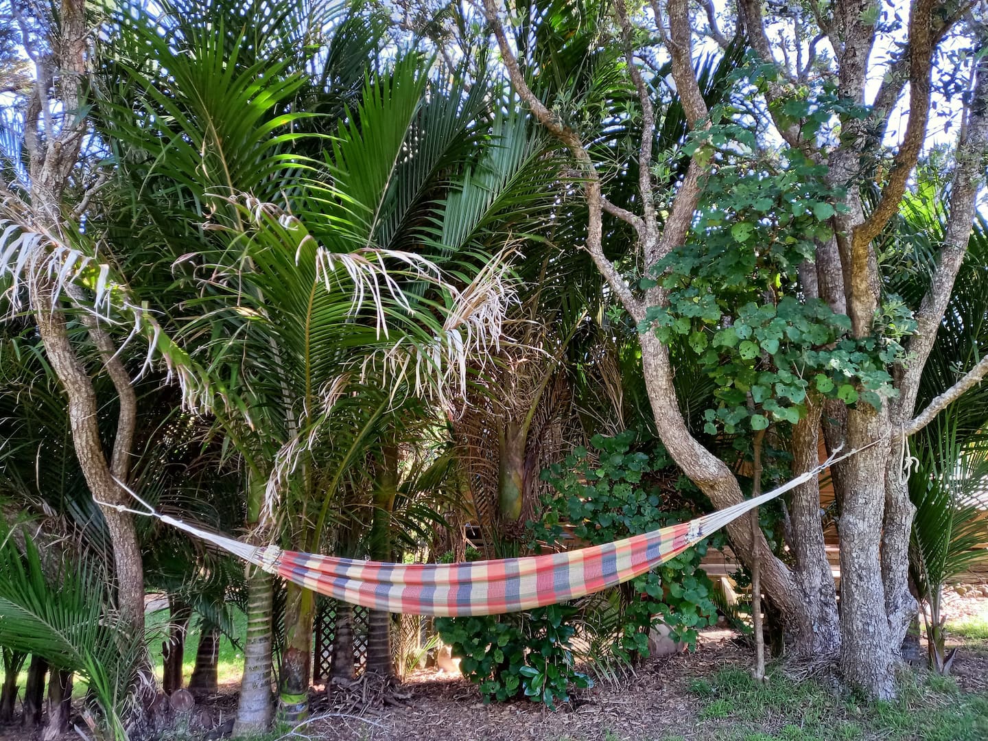 Tranquil Karekare Valley Home 4