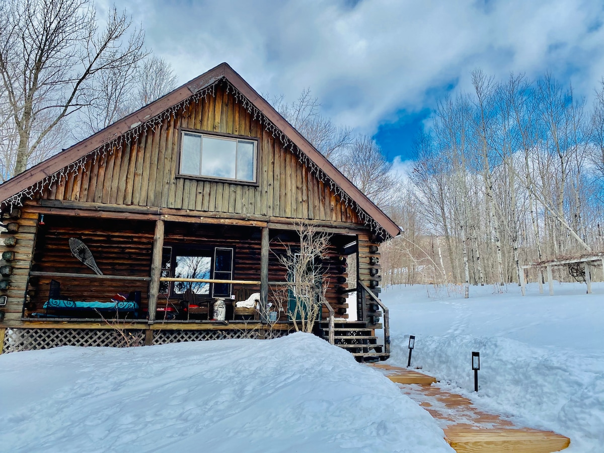 A rustic log cabin is set against a backdrop of snowy terrain and leafy trees. The front porch features a comfortable seating area, inviting relaxation. A wooden pathway leads to the entrance, while clear blue skies with scattered clouds provide a picturesque overhead view.