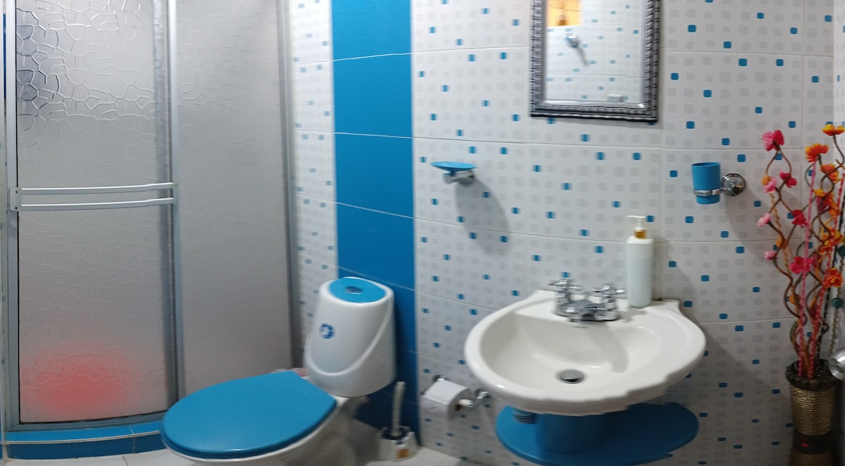 A bathroom is presented with blue and white tiled walls, featuring a shower stall with glass doors. A modern toilet with a matching blue seat and a sink with a chrome faucet are positioned along the wall. Decorative artificial flowers add a touch of color.