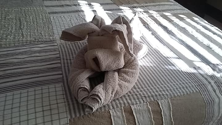 Only dogs allowed - Towel dog in Master Bedroom