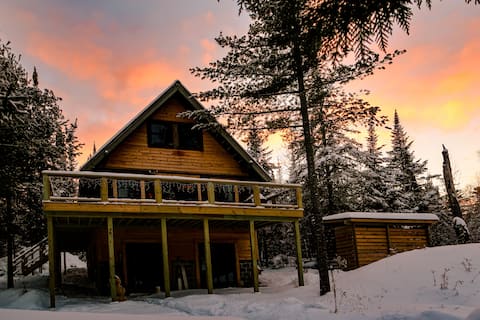 Fyrreskov Cabin Boreal Forest Paradise