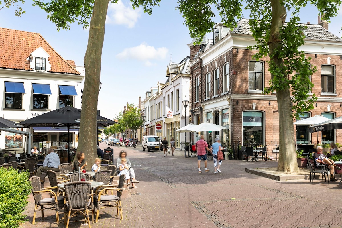 A lively street scene features outdoor seating at cafés under large trees, creating shaded areas for patrons. Historic buildings with classic architecture line the street, while people enjoy their time together. Umbrellas provide additional shade, enhancing the inviting atmosphere of the area.
