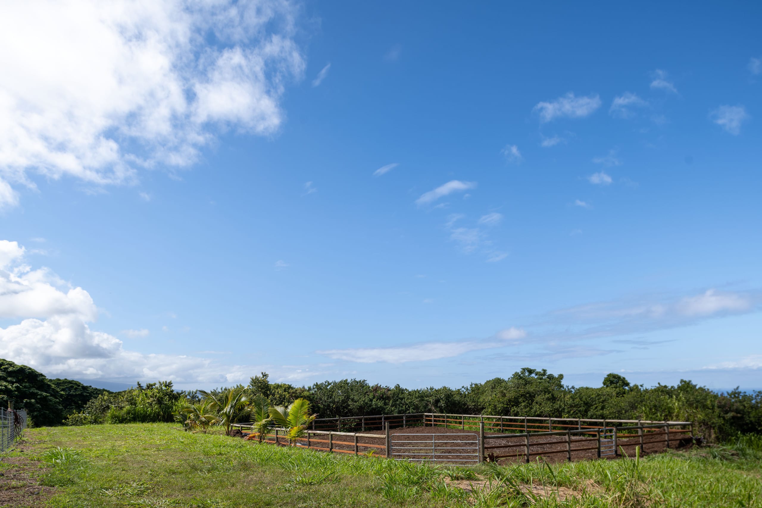 Glass House near Capt. Cook Trail - Image 36