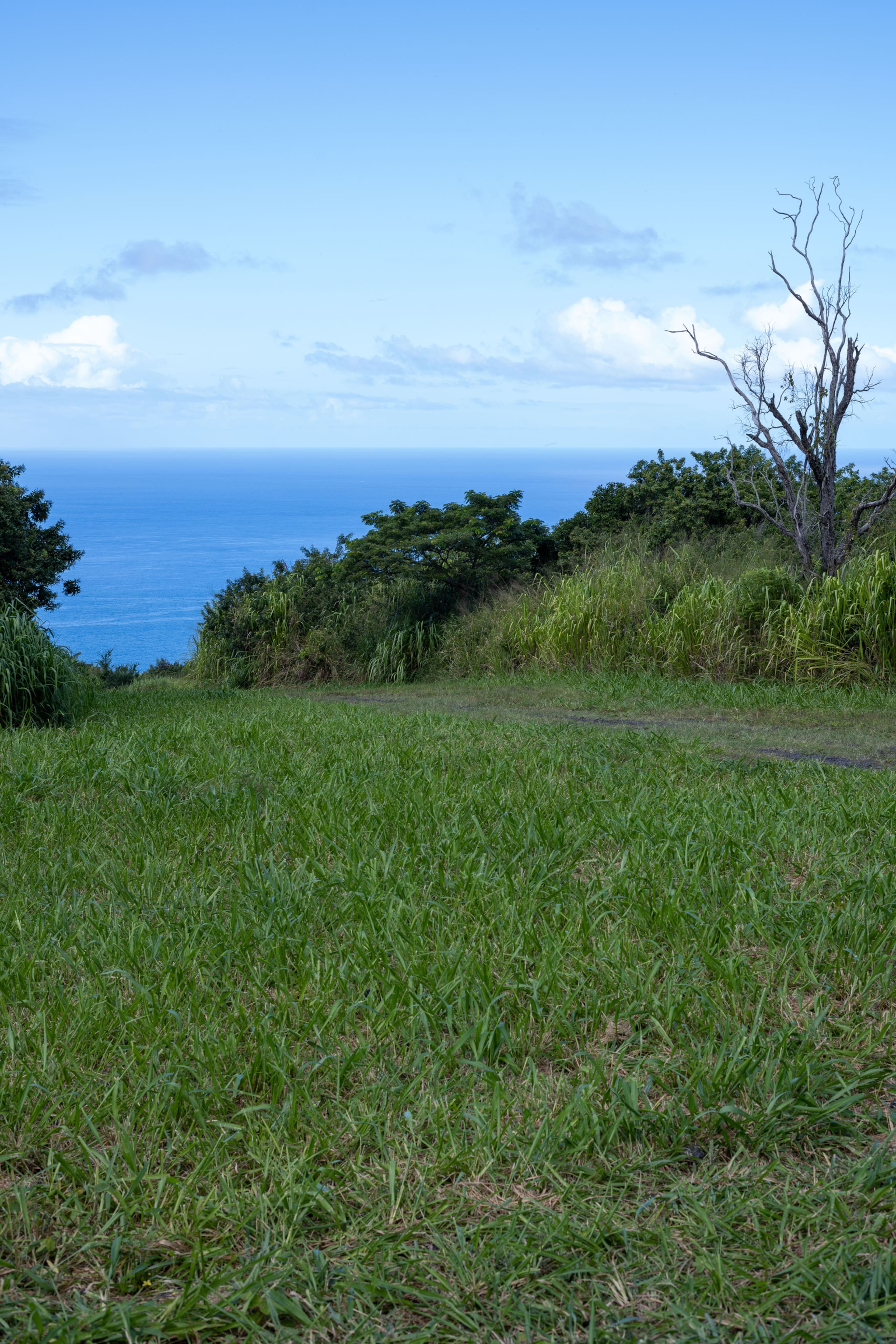 Glass House near Capt. Cook Trail - Image 37