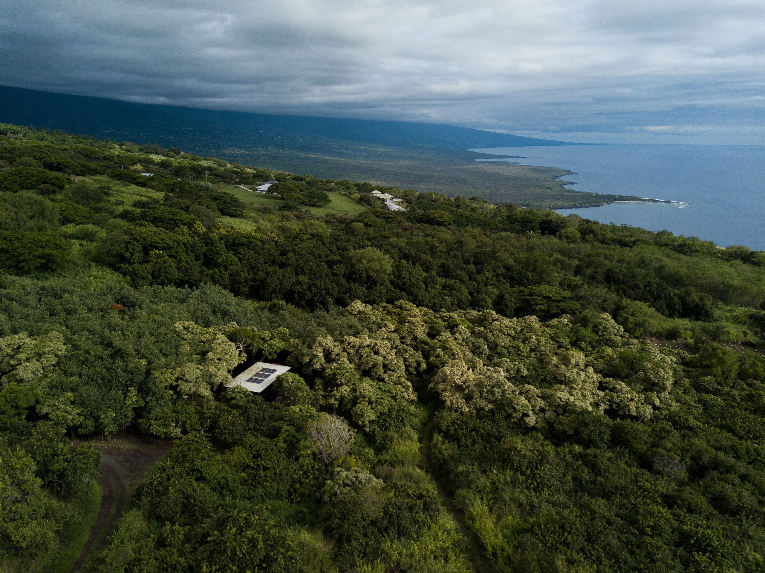 Glass House near Capt. Cook Trail - Image 4