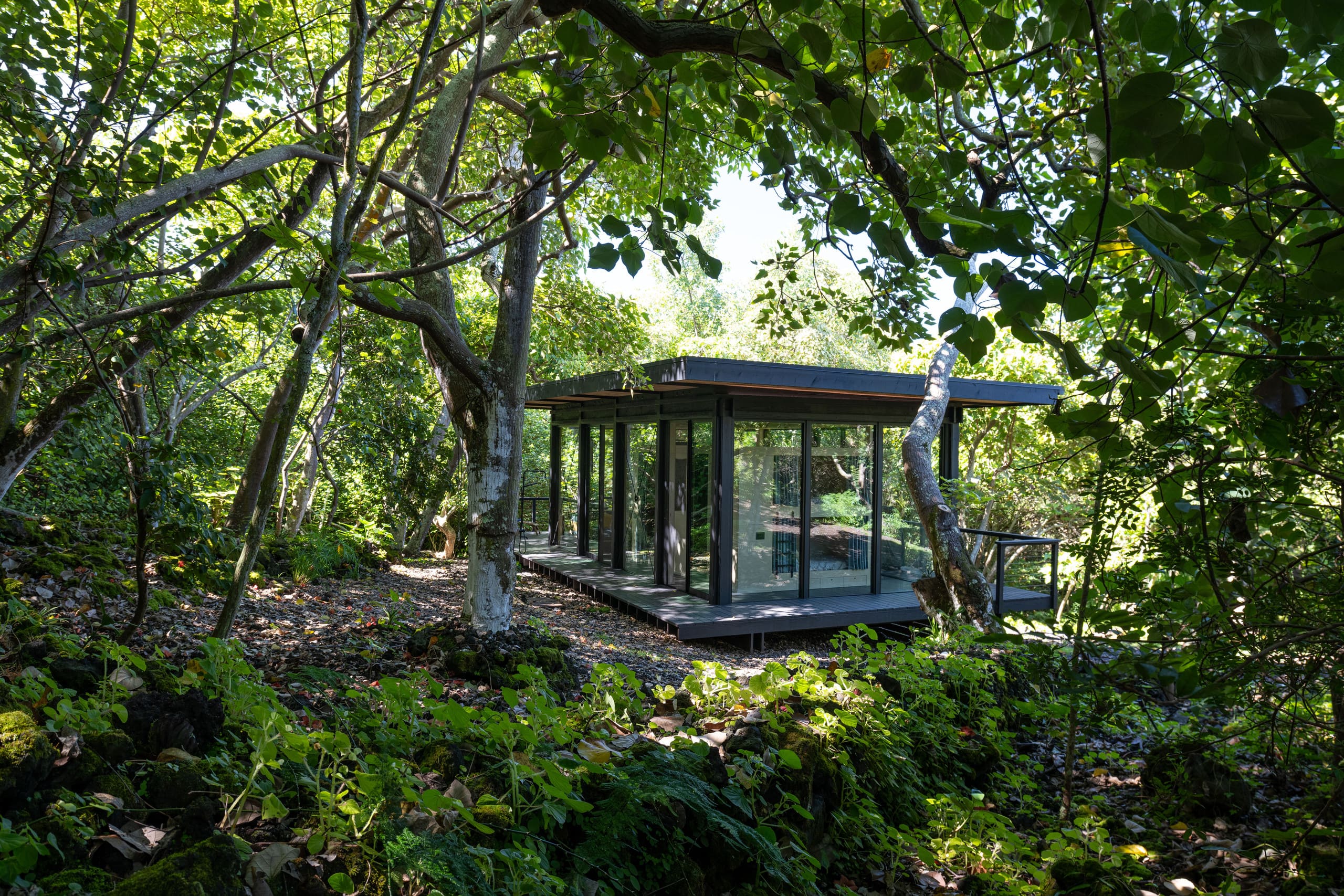 Glass House near Capt. Cook Trail - Image 6