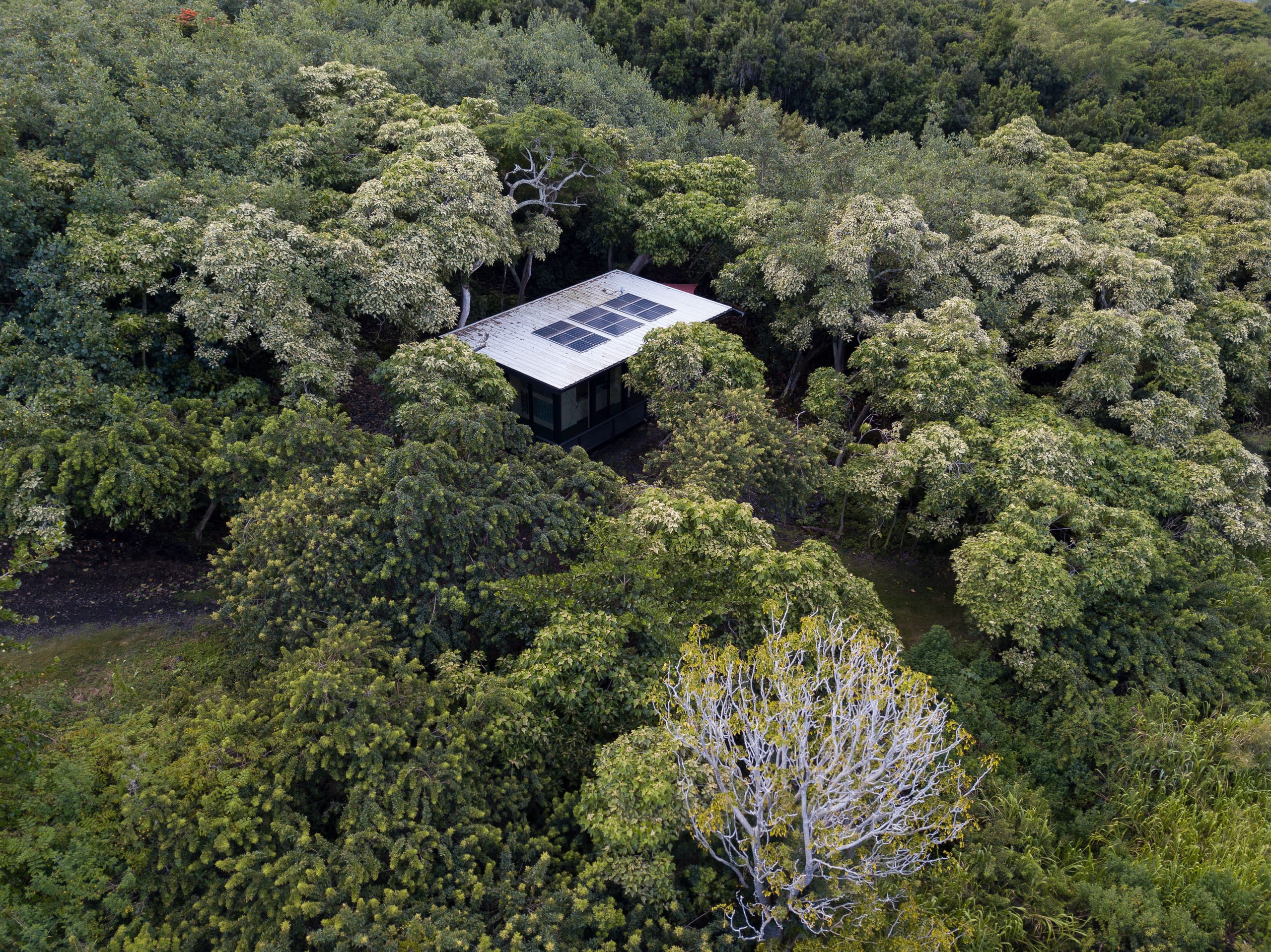 Glass House near Capt. Cook Trail - Image 35