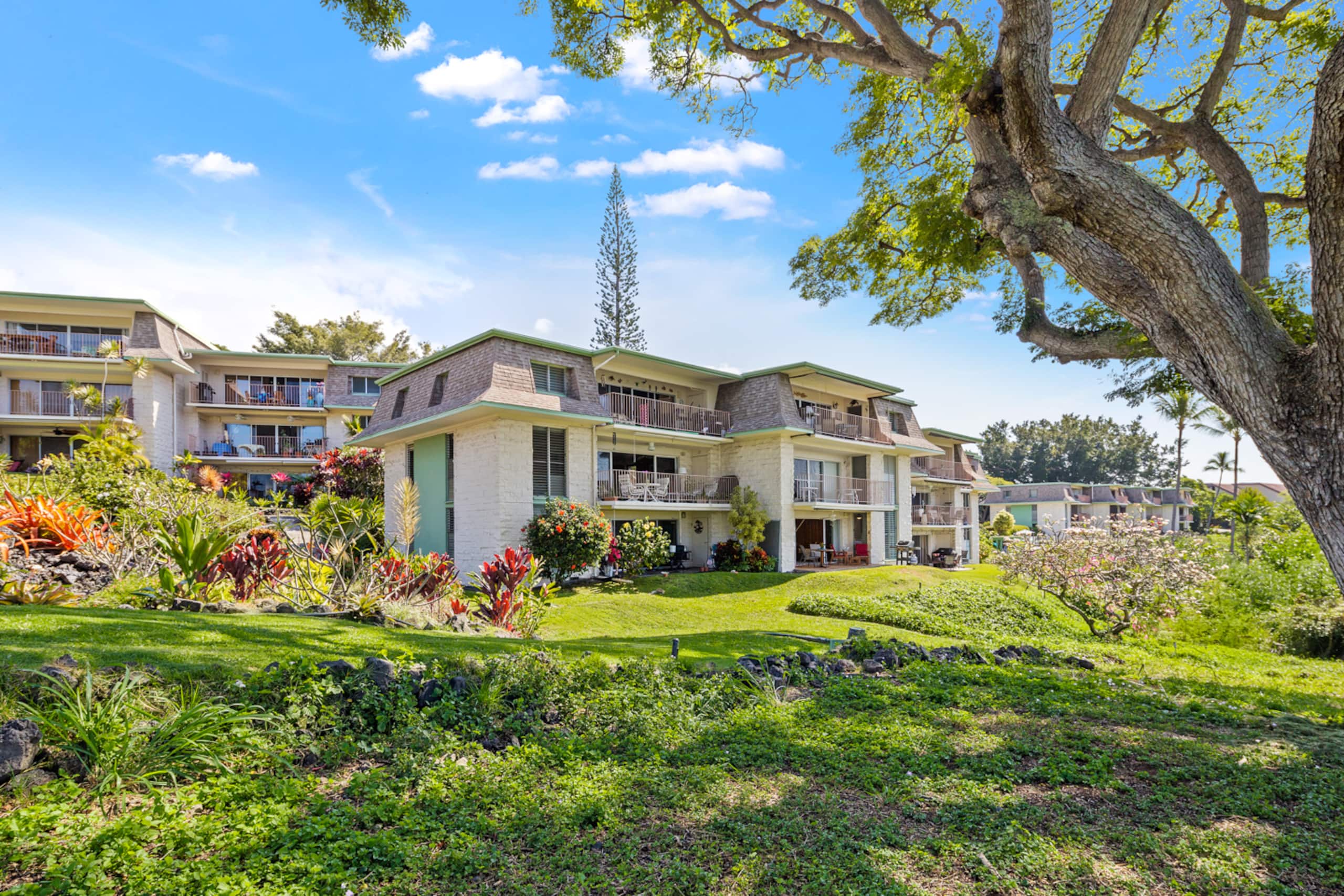 Condo in Kailua-Kona · ★4.93 · 1 bedroom · 2 beds · 2 baths - Image 20