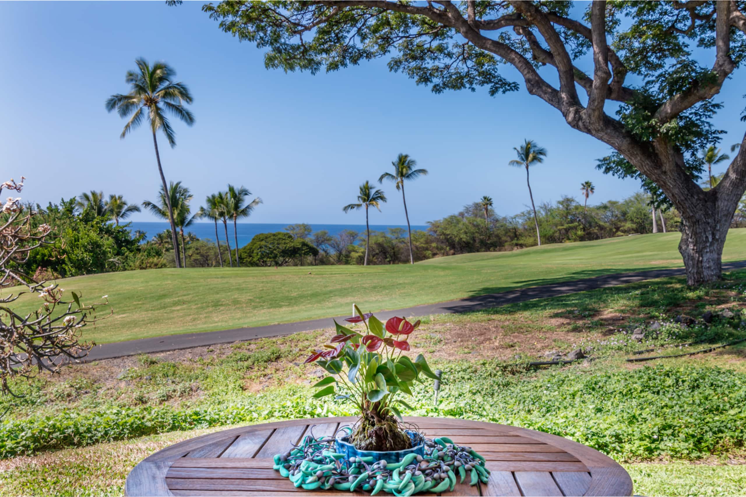 Condo in Kailua-Kona · ★4.93 · 1 bedroom · 2 beds · 2 baths - Image 18