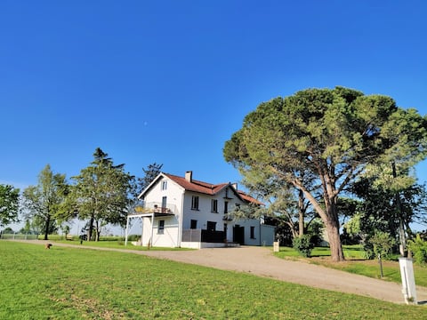 Cottage Duo VigneRouge Gaillac*LesCottages duTarn*