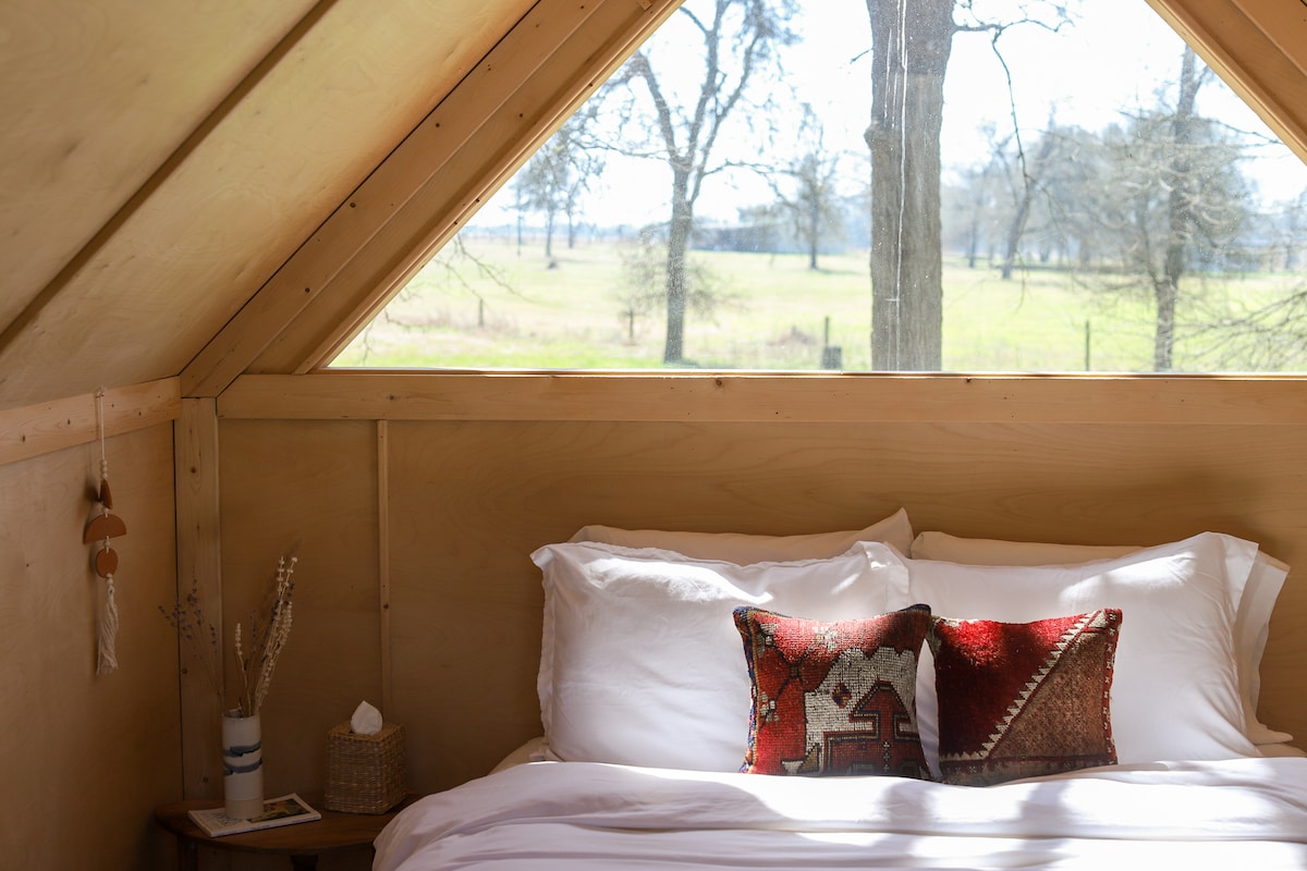 Კამპინას ინტერიერი 1