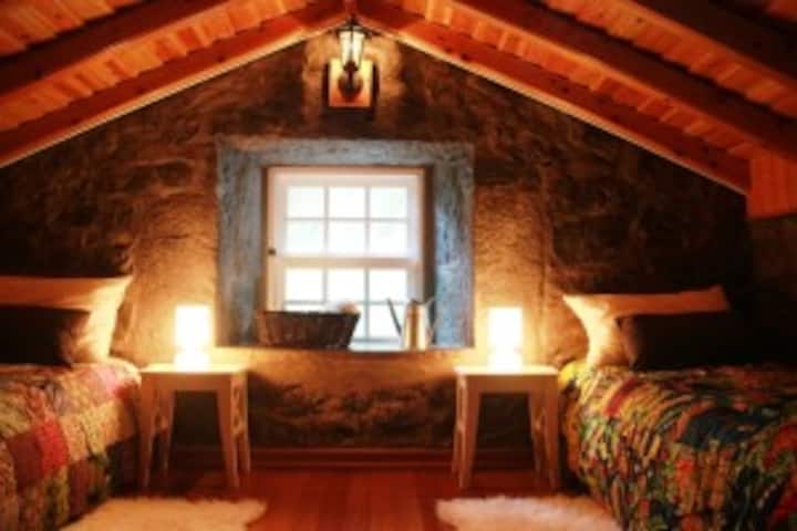 Dhomë dopio papafingo