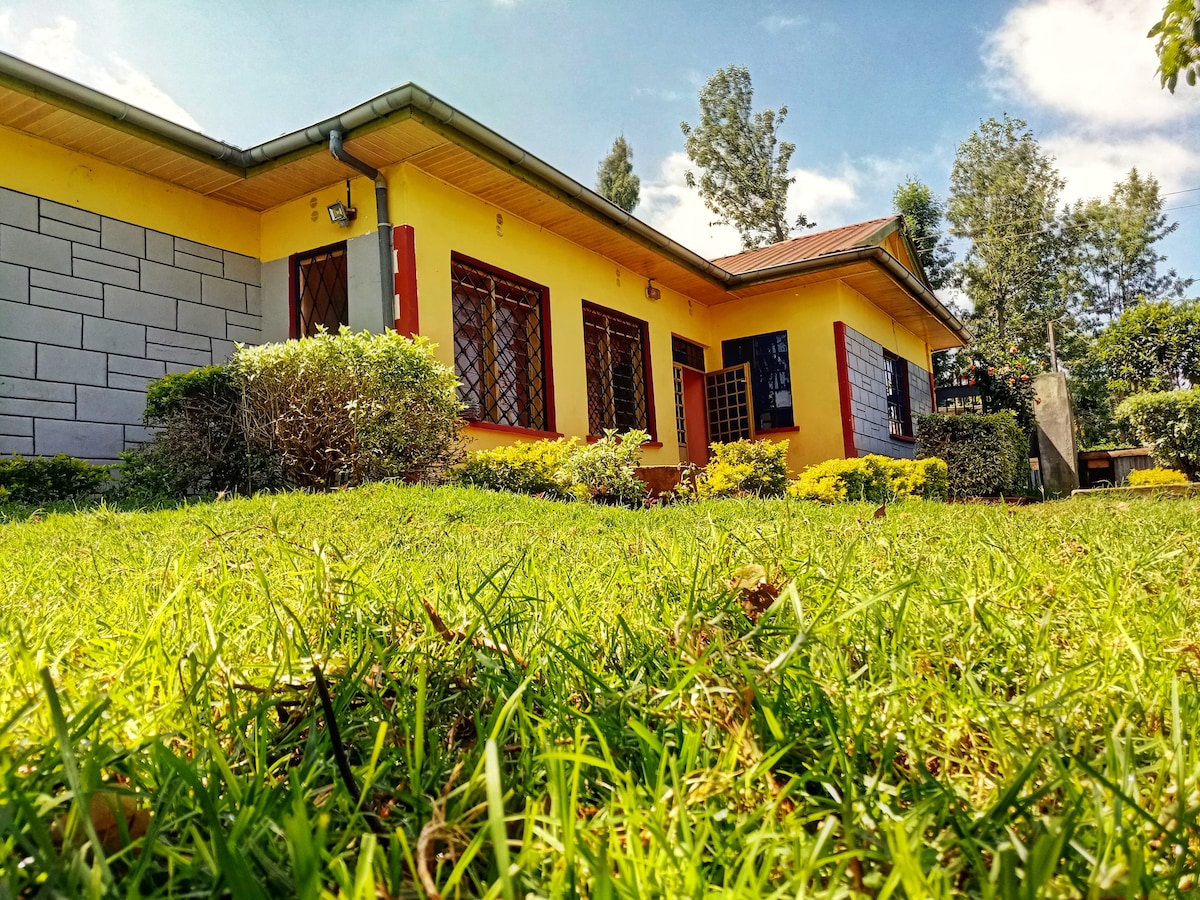 A bright yellow house with a well-maintained exterior features large windows framed in dark metal. Lush green grass surrounds the property, while neatly trimmed bushes and trees provide a scenic backdrop. The clear blue sky adds to the inviting outdoor setting.